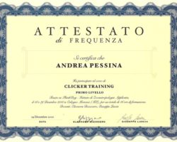 Attestato - Clicker Training